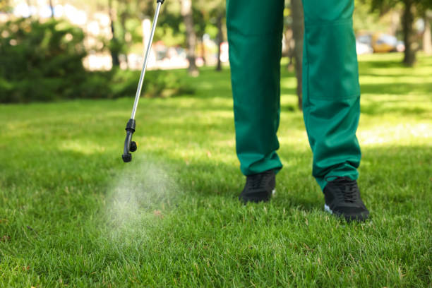 Best Pest Removal Services  in Braddock, VA