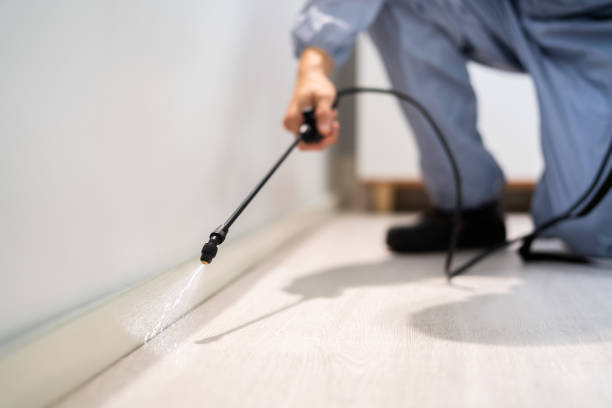 Professional Pest Control in Braddock, VA