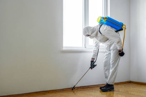 Best Bed Bug Extermination  in Braddock, VA