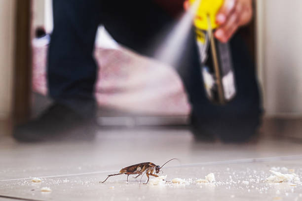 Best Residential Pest Control  in Braddock, VA