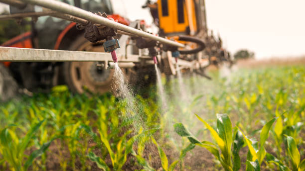 Best Commercial Pest Control Services  in Braddock, VA