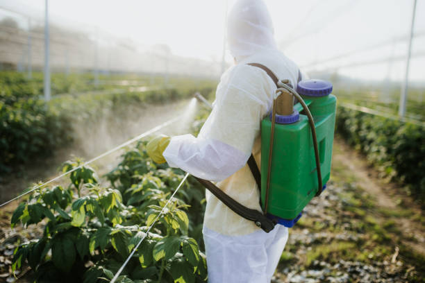 Best Pest Inspection Near Me  in Braddock, VA